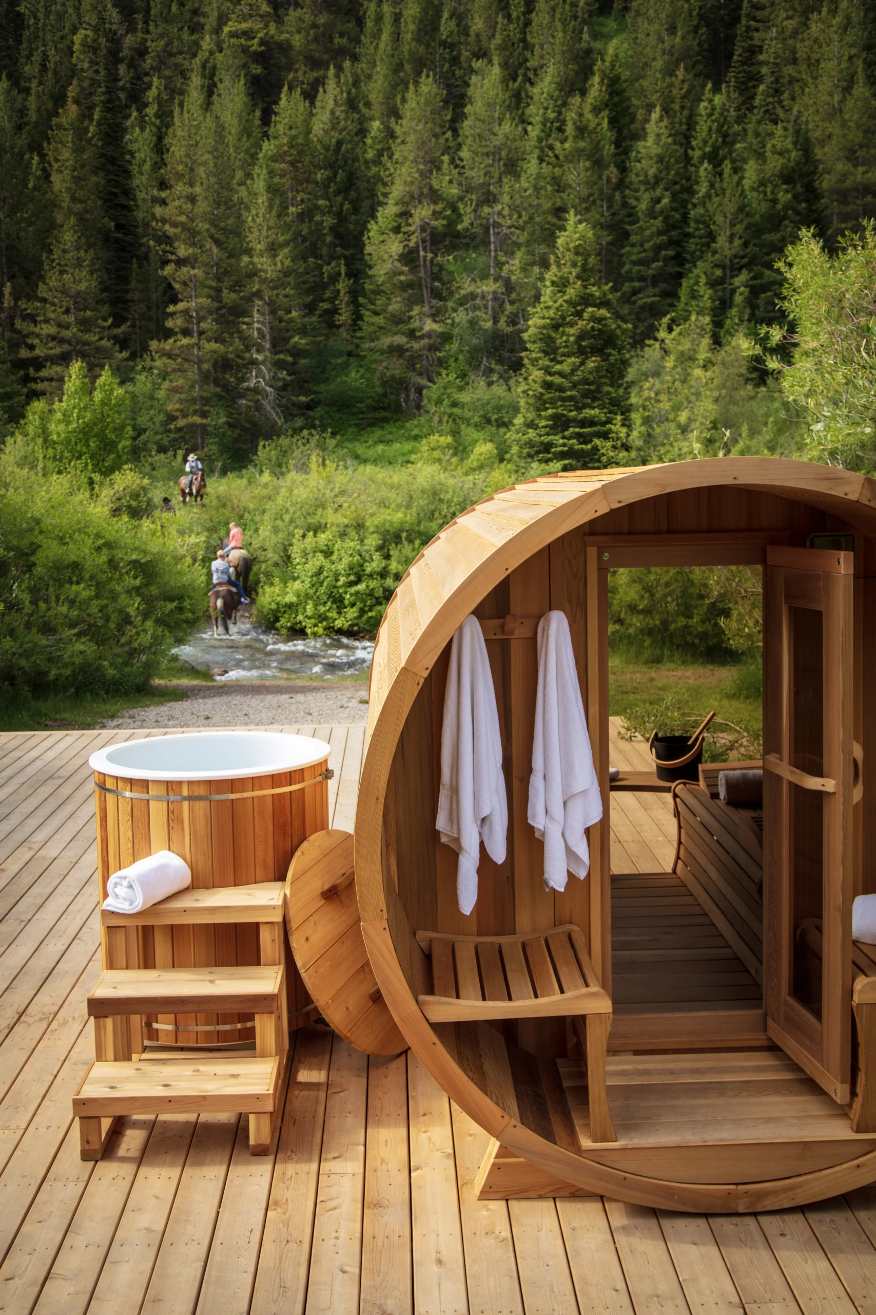 Sauna & Cold Plunge